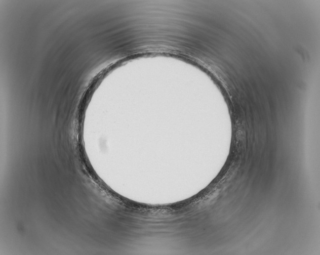 X0000110690979200907241100