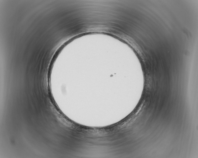 X0000110690980200907241100