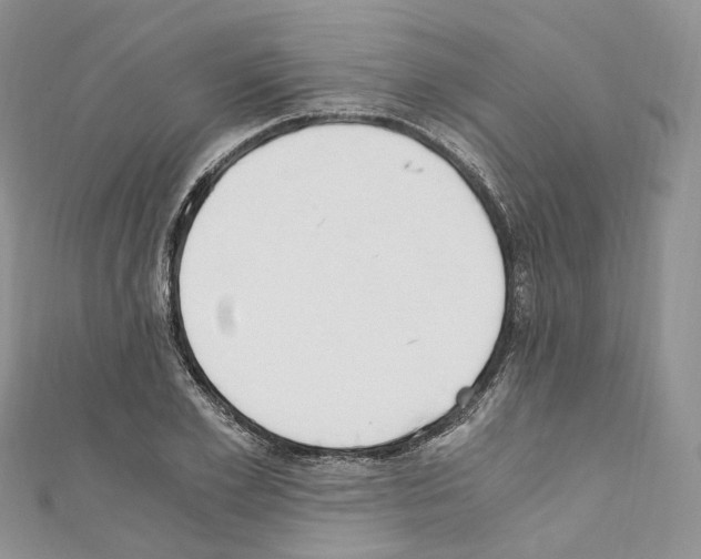 X0000110690981200907241100