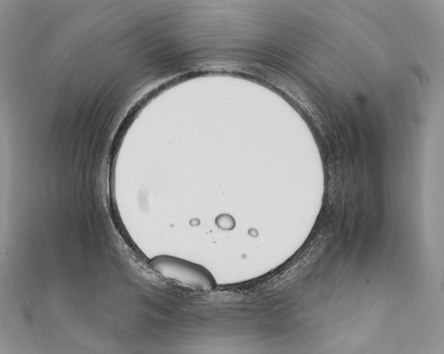 X0000110690984200907241100