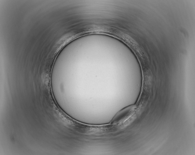 X0000110690985200907241100