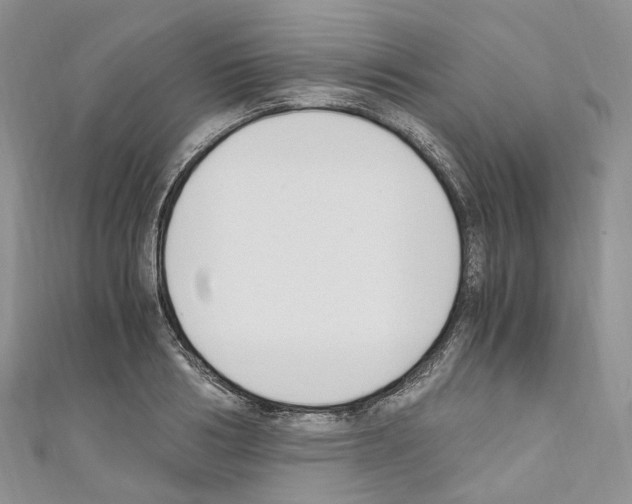 X0000110690986200907241100