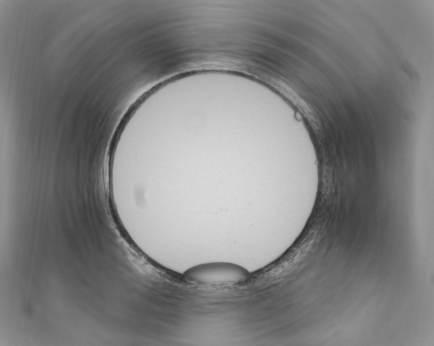 X0000110690988200907241100