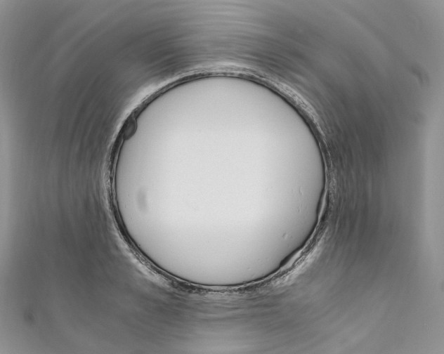 X0000110690989200907241100