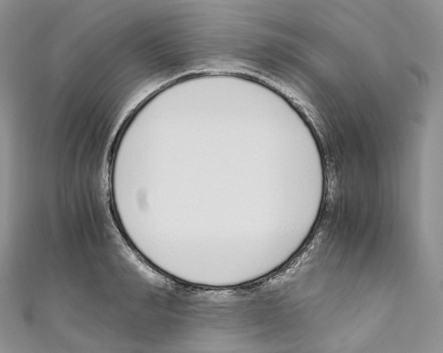 X0000110690990200907241100