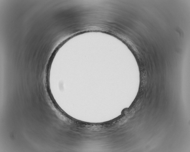 X0000110690991200907241100