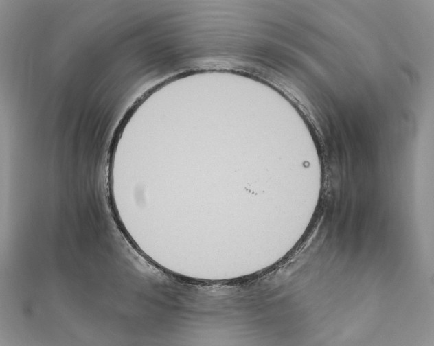 X0000110690992200907241100