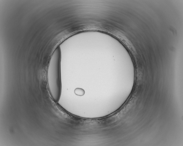 X0000110690993200907241100