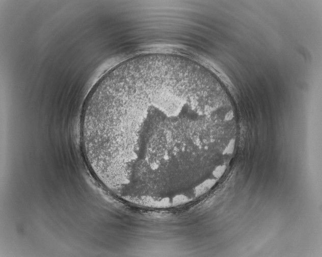 X0000110690994200907241100