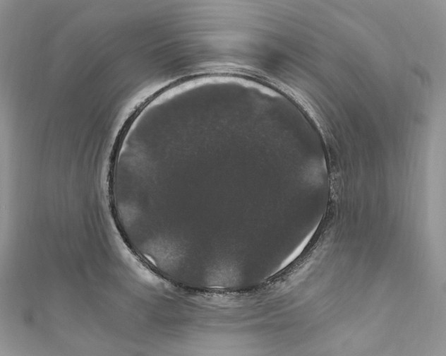 X0000110690995200907241100