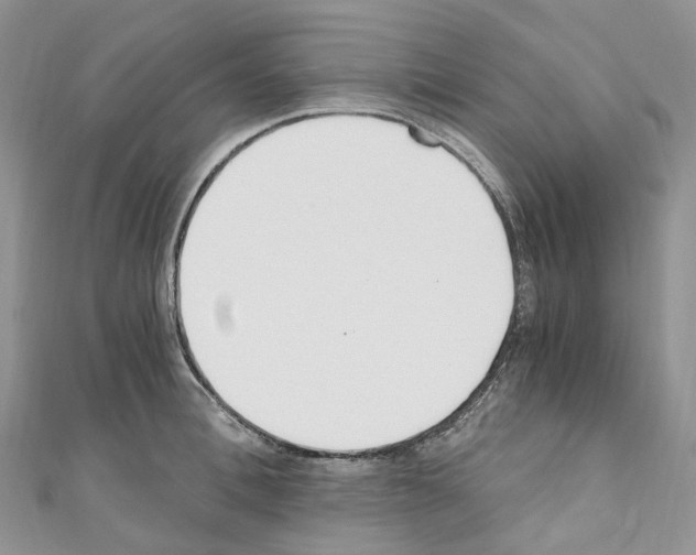 X0000110690996200907241100