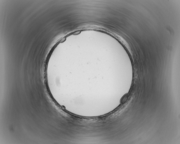 X0000110690997200907241100