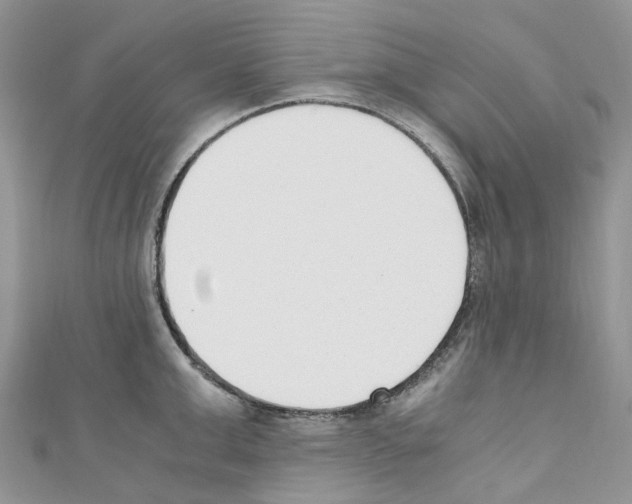 X0000110690999200907241100