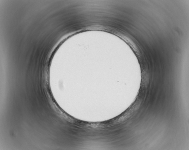 X0000110691000200907241100