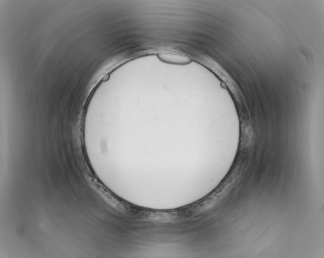 X0000110691002200907241100