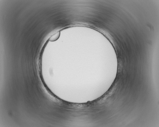 X0000110691003200907241100