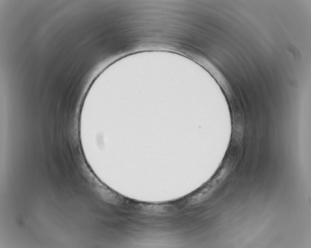 X0000110691004200907241100