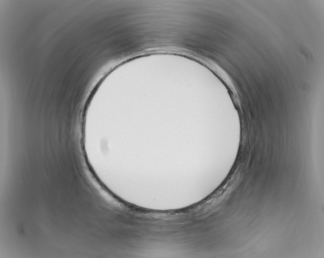 X0000110691005200907241100