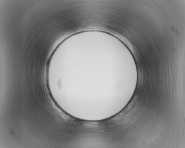 X0000110691006200907241100