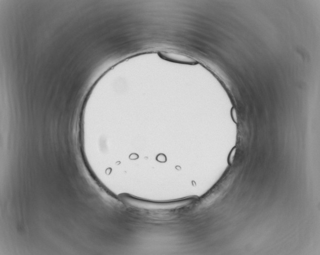 X0000110691007200907241100