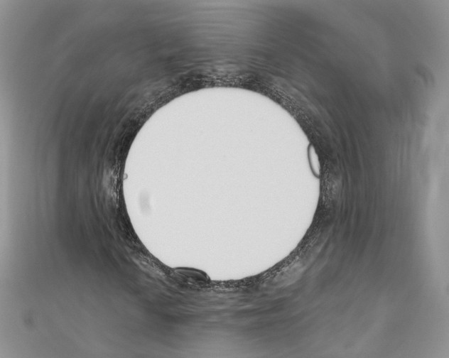 X0000110691010200907241059