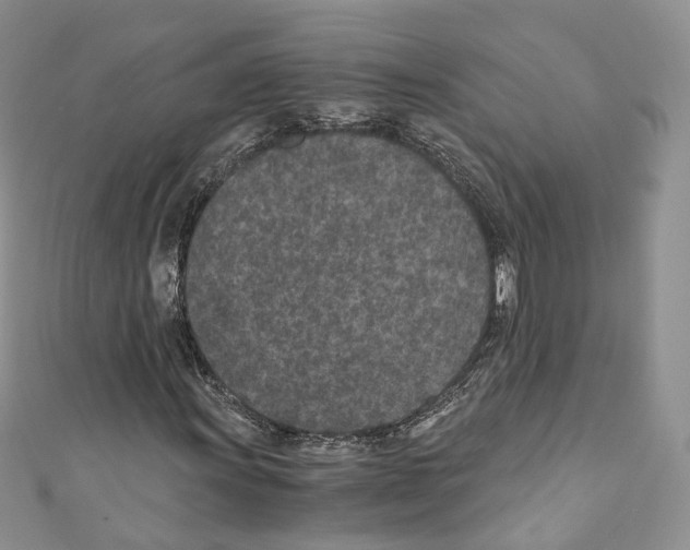 X0000110691011200907241059