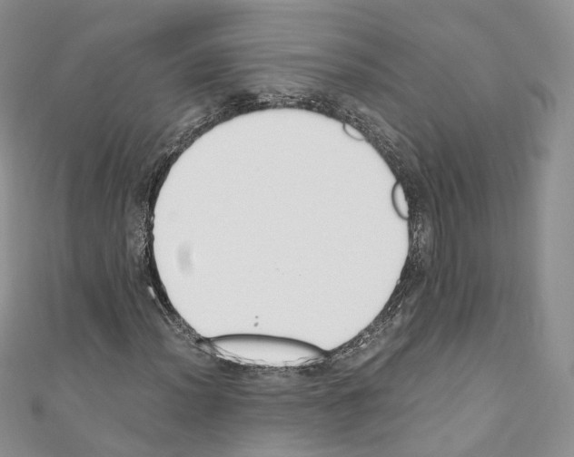 X0000110691012200907241059