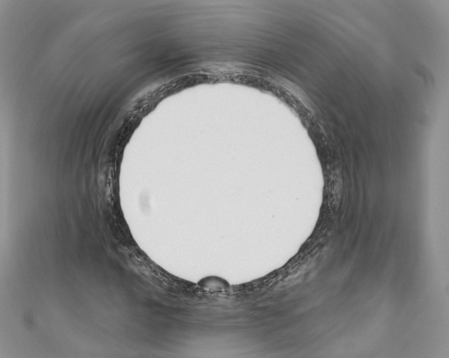 X0000110691016200907241059