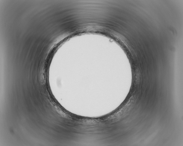 X0000110691018200907241059