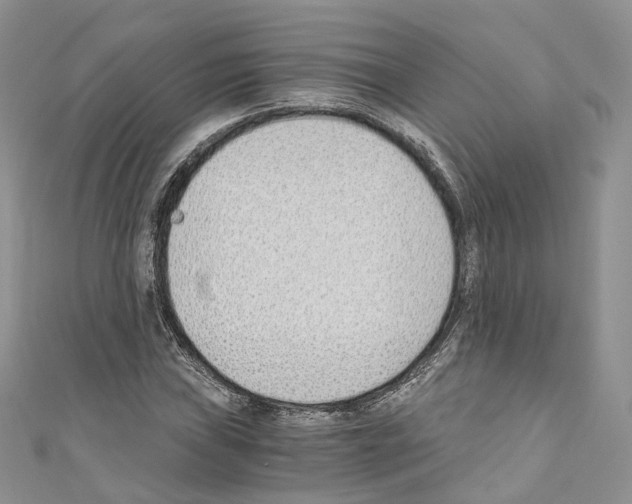 X0000110691019200907241059