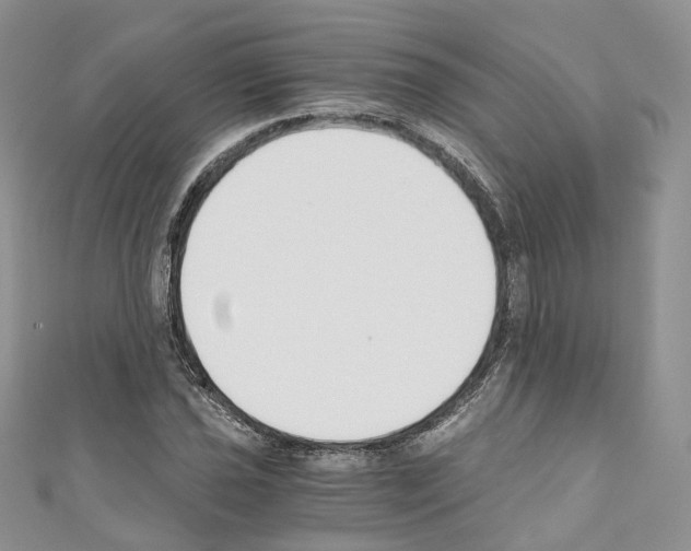 X0000110691021200907241059