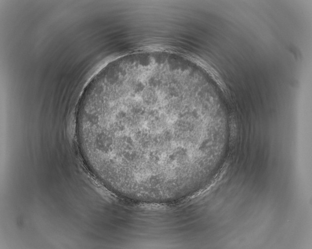 X0000110691023200907241059