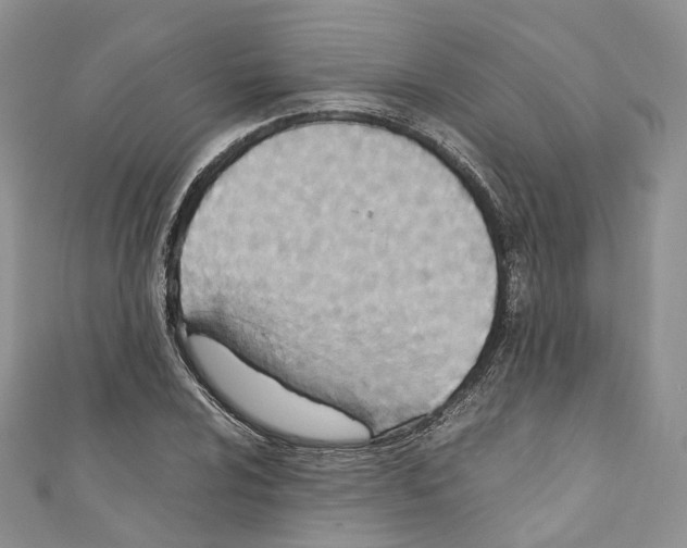 X0000110691024200907241059