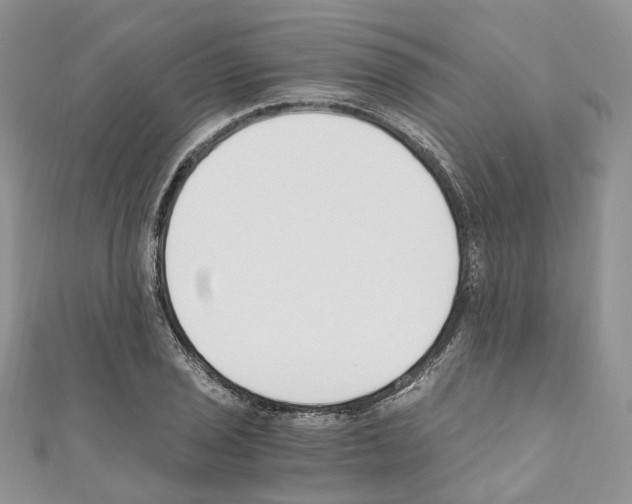 X0000110691029200907241059