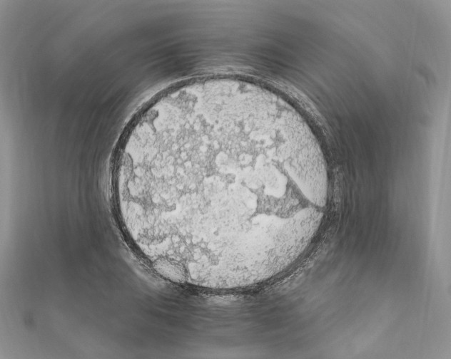 X0000110691031200907241059