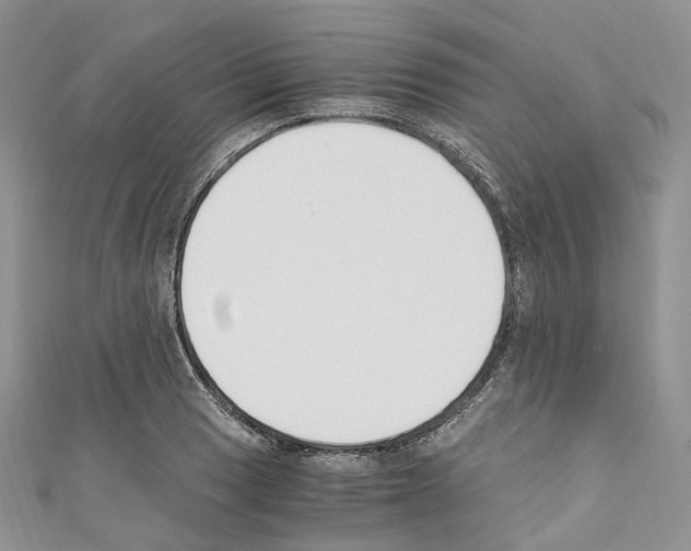 X0000110691033200907241059