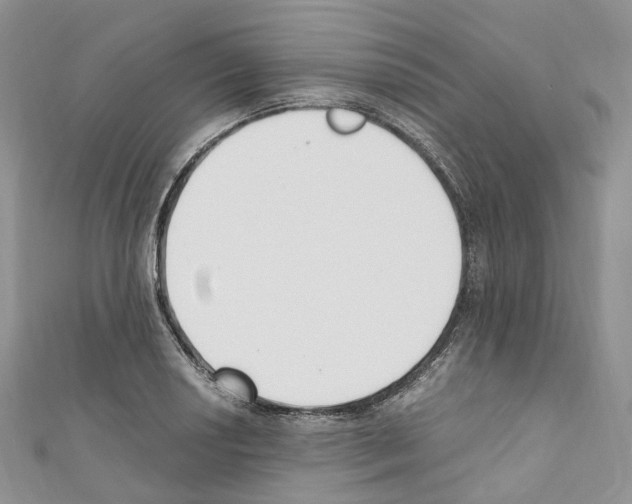 X0000110691034200907241059