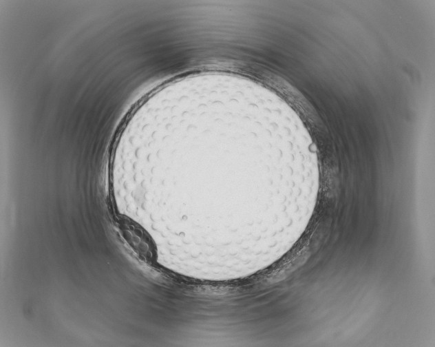 X0000110691036200907241059