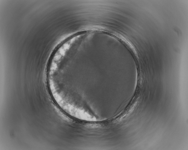 X0000110691037200907241059