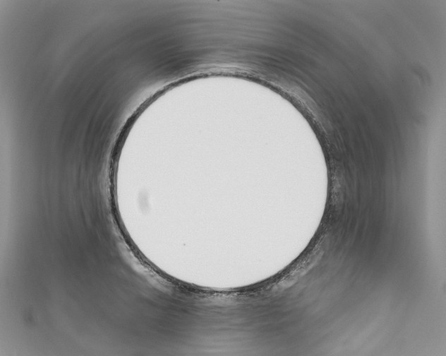 X0000110691038200907241059