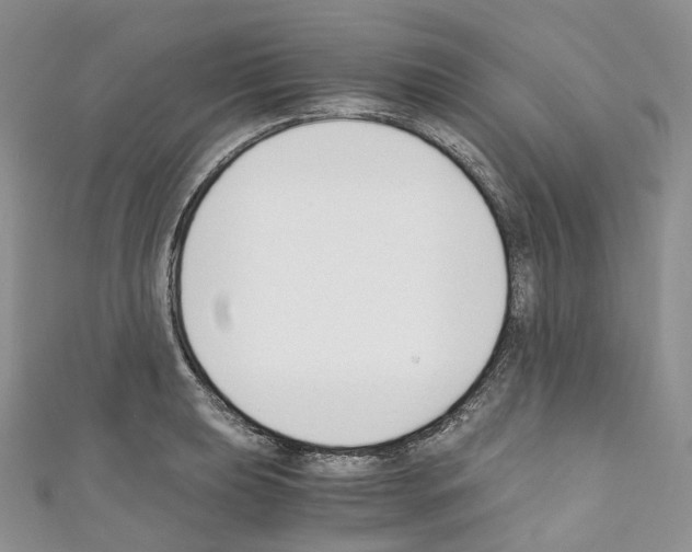 X0000110691039200907241100