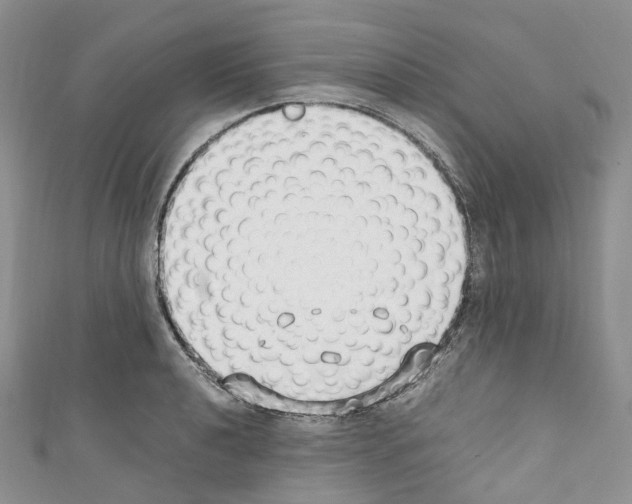 X0000110691040200907241100