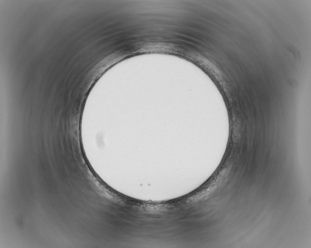 X0000110691041200907241100