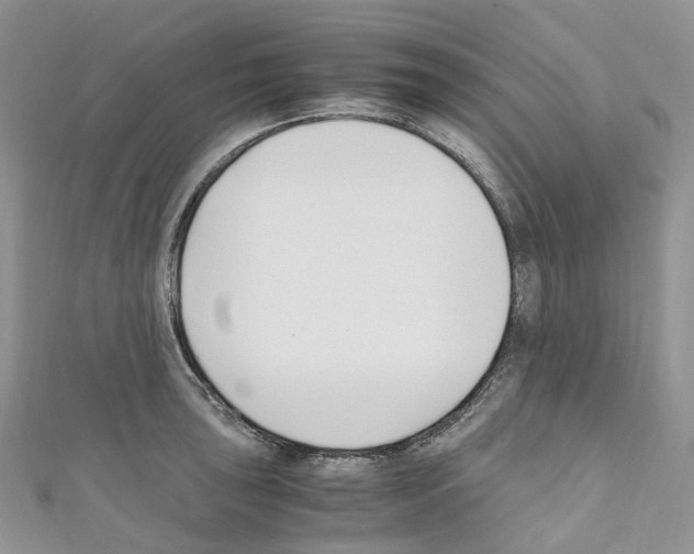 X0000110691043200907241100