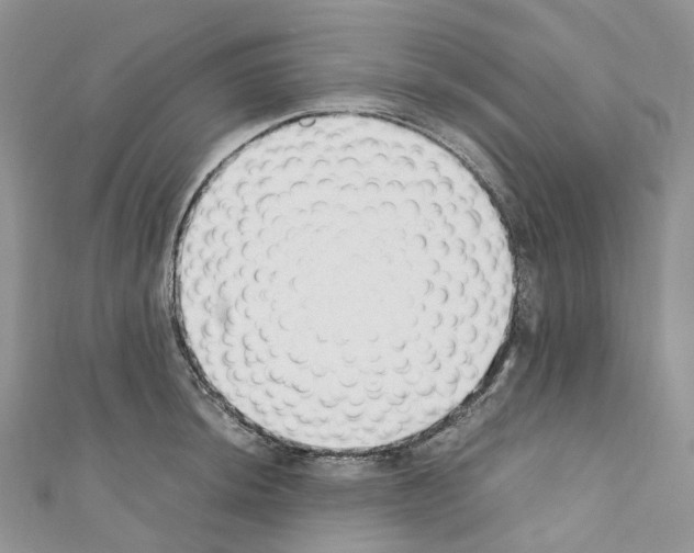 X0000110691044200907241100