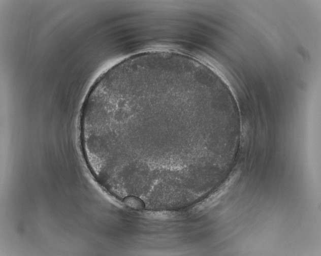 X0000110691045200907241100