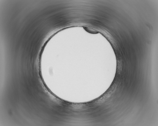 X0000110691046200907241100