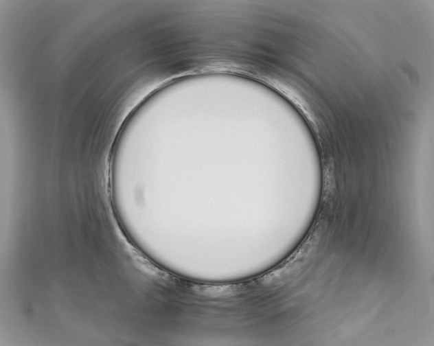 X0000110691047200907241100