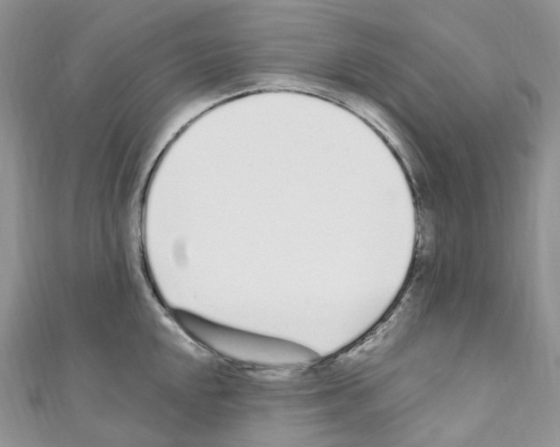 X0000110691048200907241100