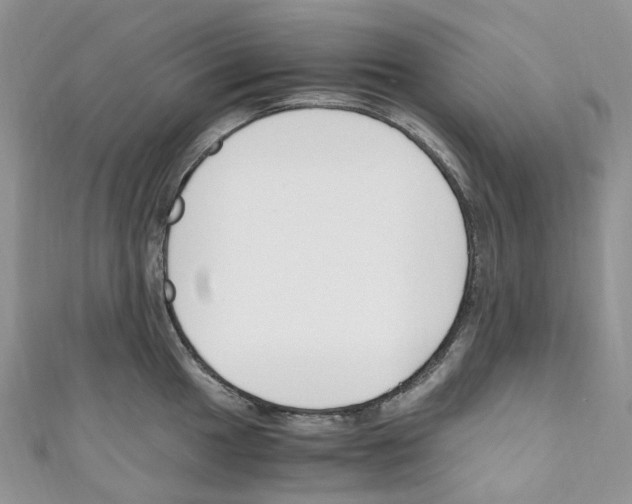 X0000110691049200907241100